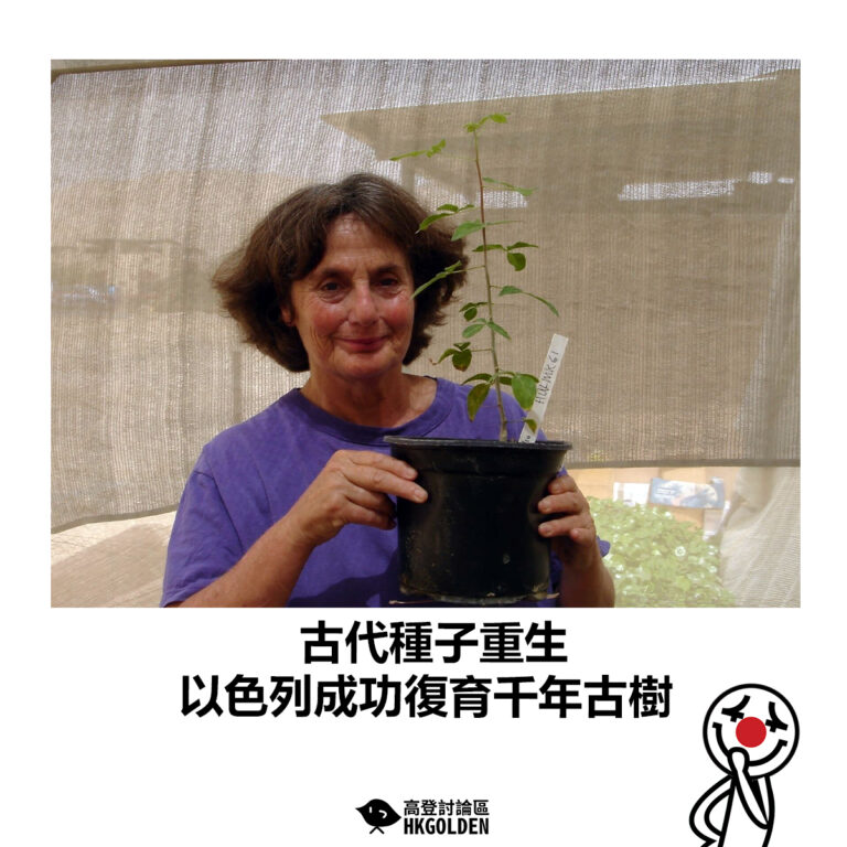 【古代種子重生 以色列成功復育千年古樹】