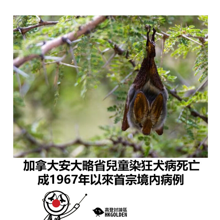 【加拿大安大略省兒童染狂犬病死亡 成1967年以來首宗境內病例】