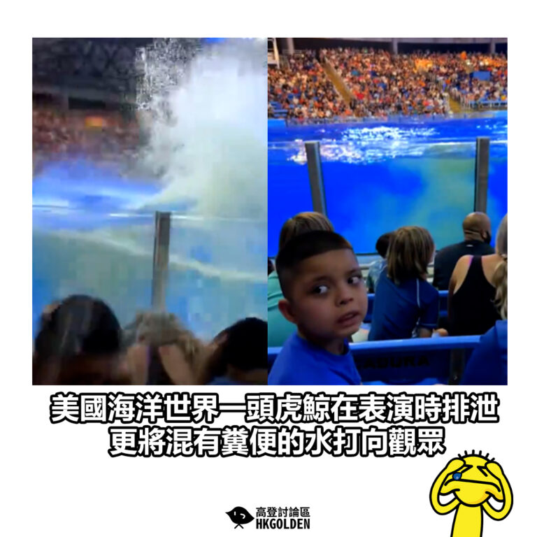 【美國海洋世界一頭虎鯨在表演時排泄 更將混有糞便的水打向觀眾】