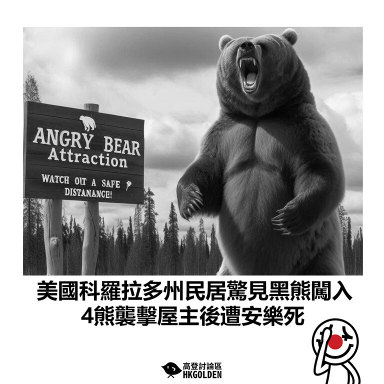 【美國科羅拉多州民居驚見黑熊闖入 4熊襲擊屋主後遭安樂死】