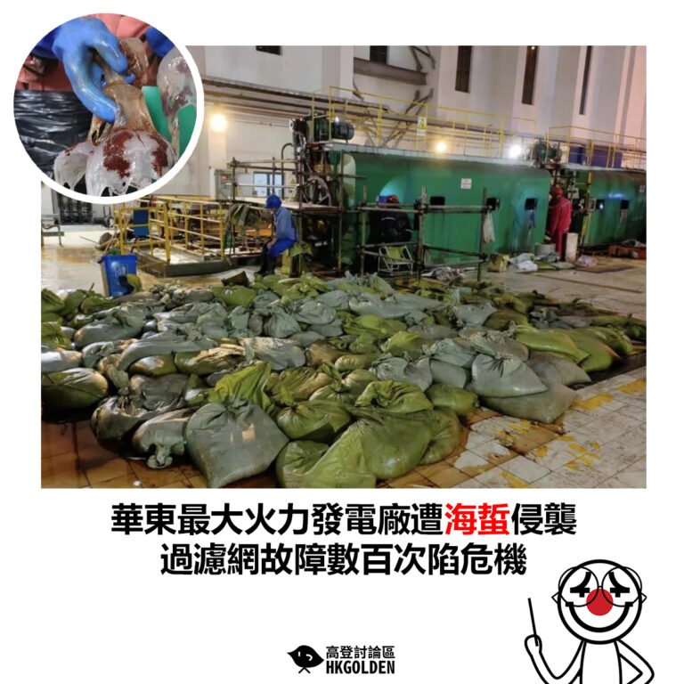 【華東最大火力發電廠遭海蜇侵襲　過濾網故障數百次陷危機】
