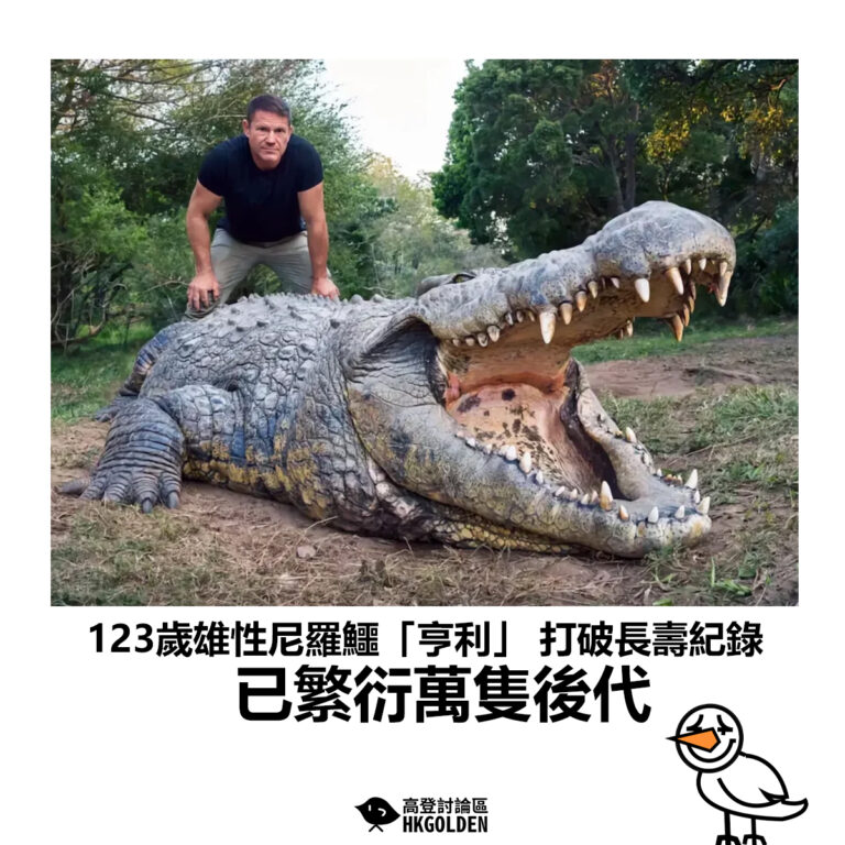 【123歲雄性尼羅鱷「亨利」 打破長壽紀錄  已繁衍萬隻後代】