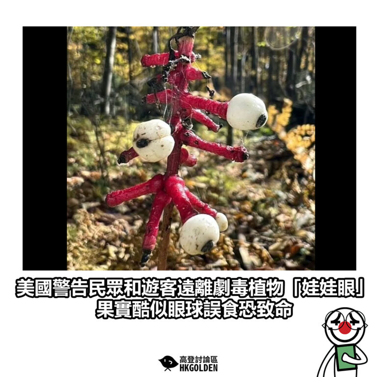 【美國警告民眾和遊客遠離劇毒植物「娃娃眼」 果實酷似眼球誤食恐致命】