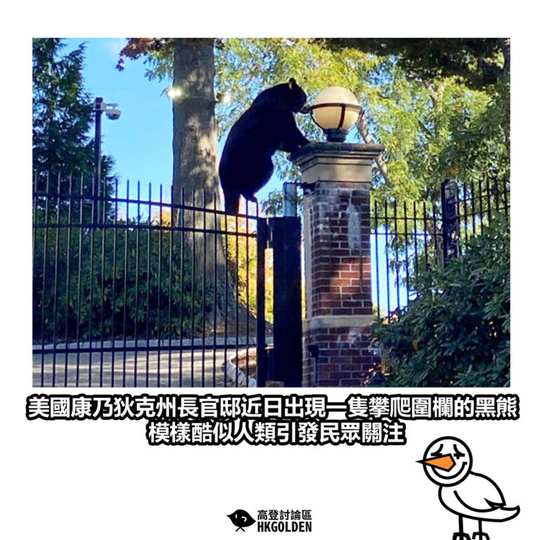 【美國康乃狄克州長官邸近日出現一隻攀爬圍欄的黑熊 模樣酷似人類引發民眾關注】