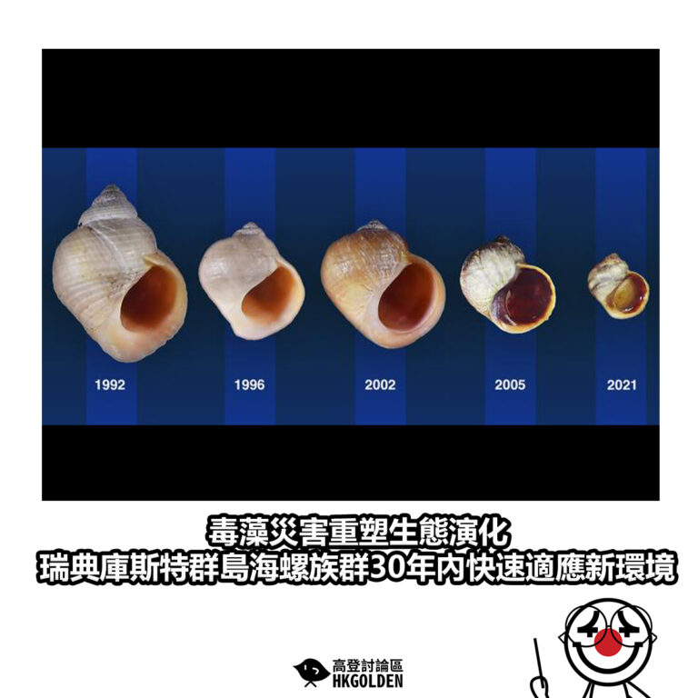 【毒藻災害重塑生態演化　瑞典庫斯特群島海螺族群30年內快速適應新環境】