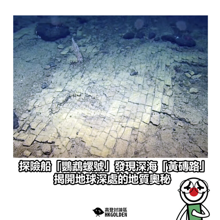 【探險船「鸚鵡螺號」發現深海「黃磚路」景觀 引起全球熱議】