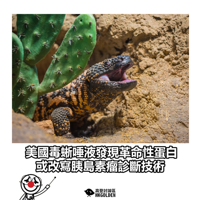 【美國毒蜥唾液發現革命性蛋白　或改寫胰島素瘤診斷技術】