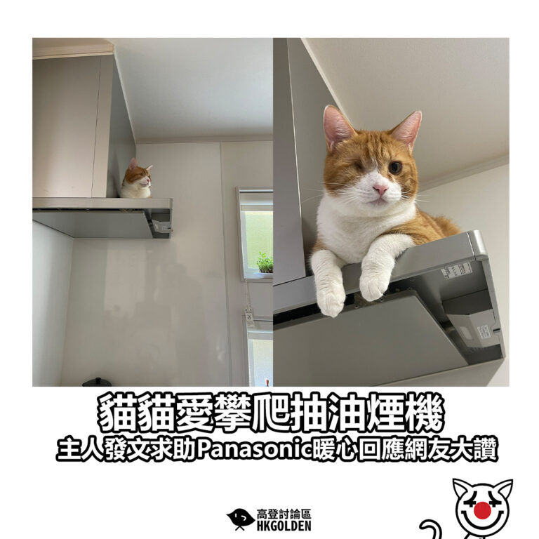 【貓貓愛攀爬抽油煙機 主人發文求助Panasonic暖心回應網友大讚】