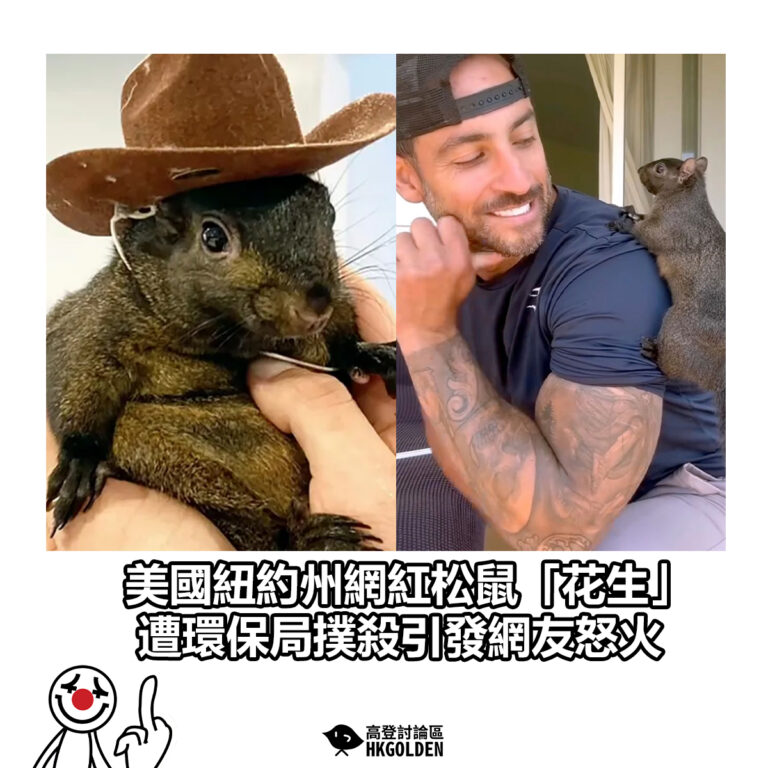 【美國紐約州網紅松鼠「花生」遭環保局撲殺 引發網友怒火】