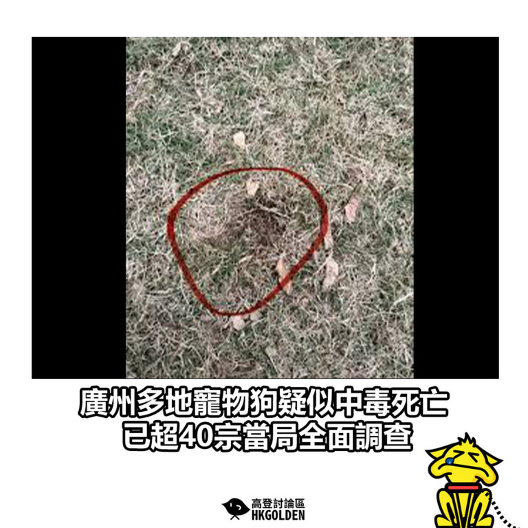 【廣州多地寵物狗疑似中毒死亡 已超40宗當局全面調查】