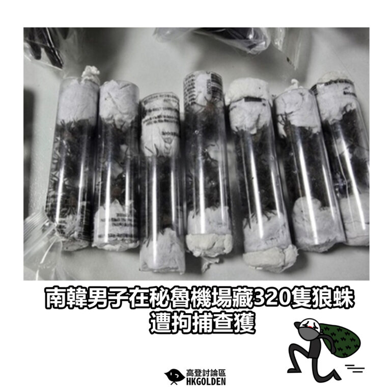 【南韓男子在秘魯機場藏320隻狼蛛 遭拘捕查獲】