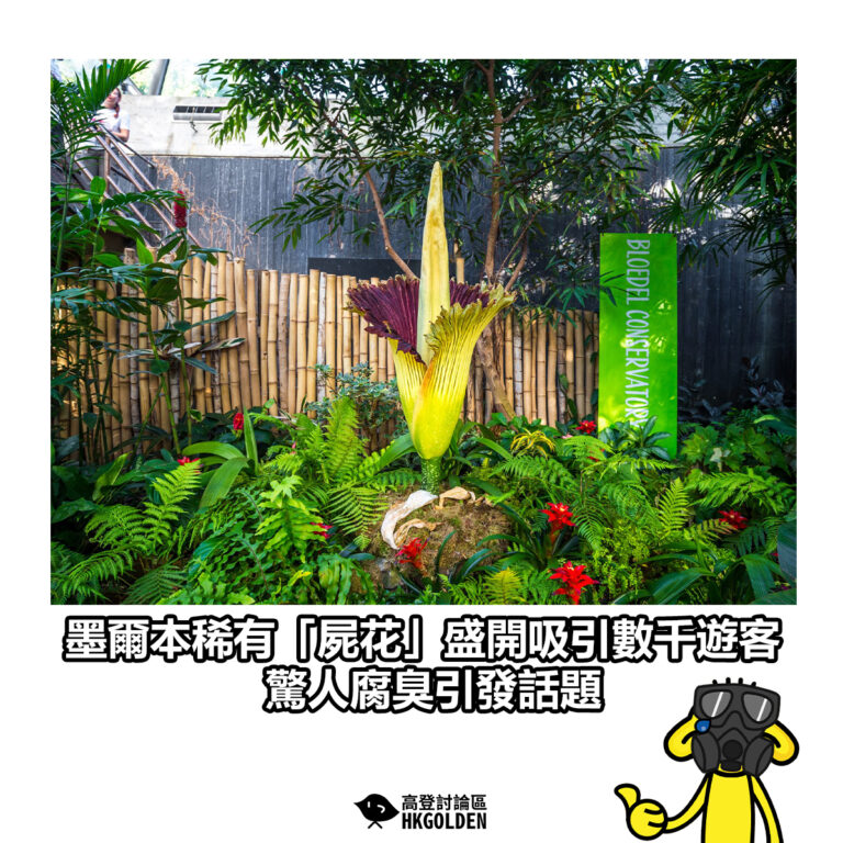 【墨爾本稀有「屍花」盛開吸引數千遊客 驚人腐臭引發話題】