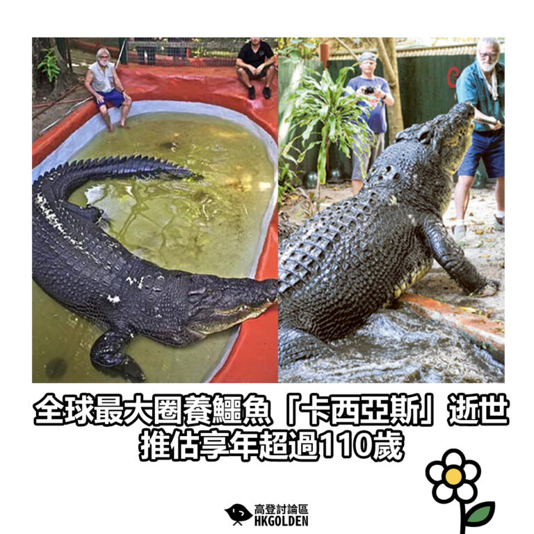 【全球最大圈養鱷魚「卡西亞斯」逝世 推估享年超過110歲】