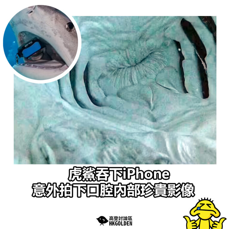 【虎鯊吞下iPhone 意外拍下口腔內部珍貴影像】