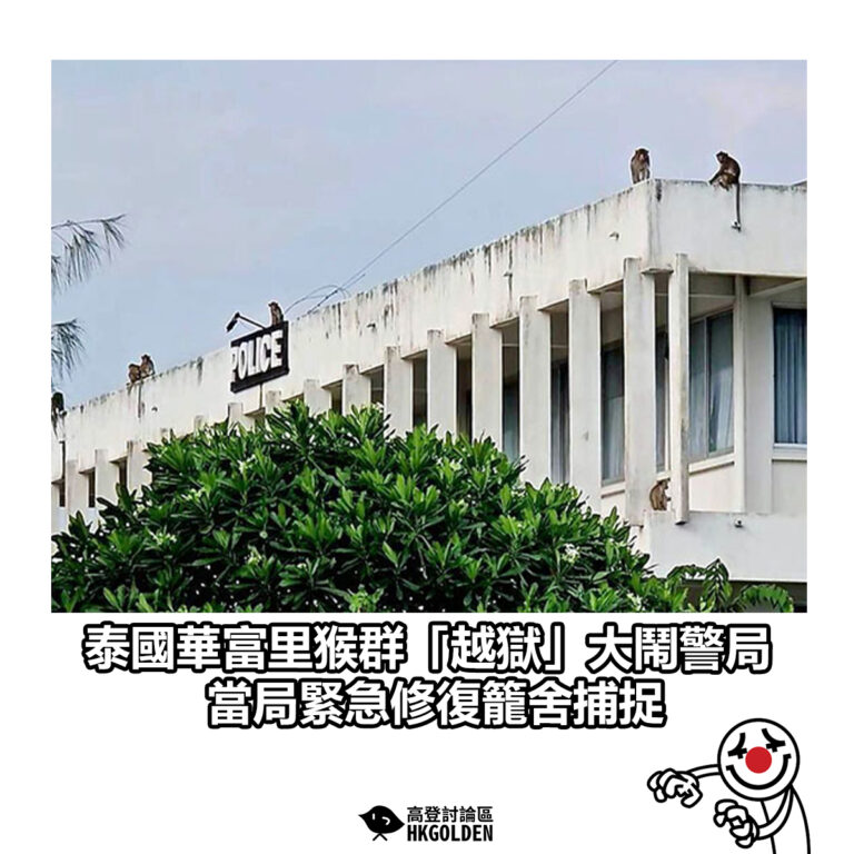 【泰國華富里猴群「越獄」大鬧警局 當局緊急修復籠舍捕捉】