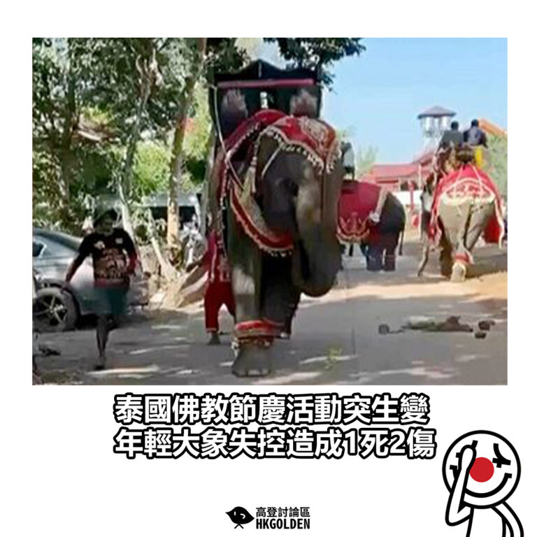 【 泰國佛教節慶活動突生變　年輕大象失控造成1死2傷】