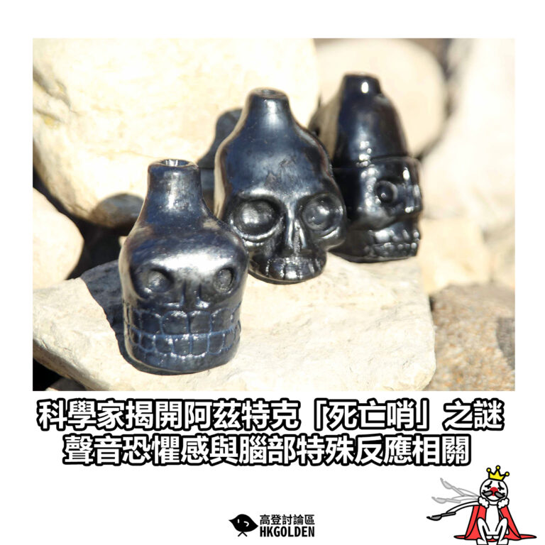 【科學家揭開阿茲特克「死亡哨」之謎　聲音恐懼感與腦部特殊反應相關】