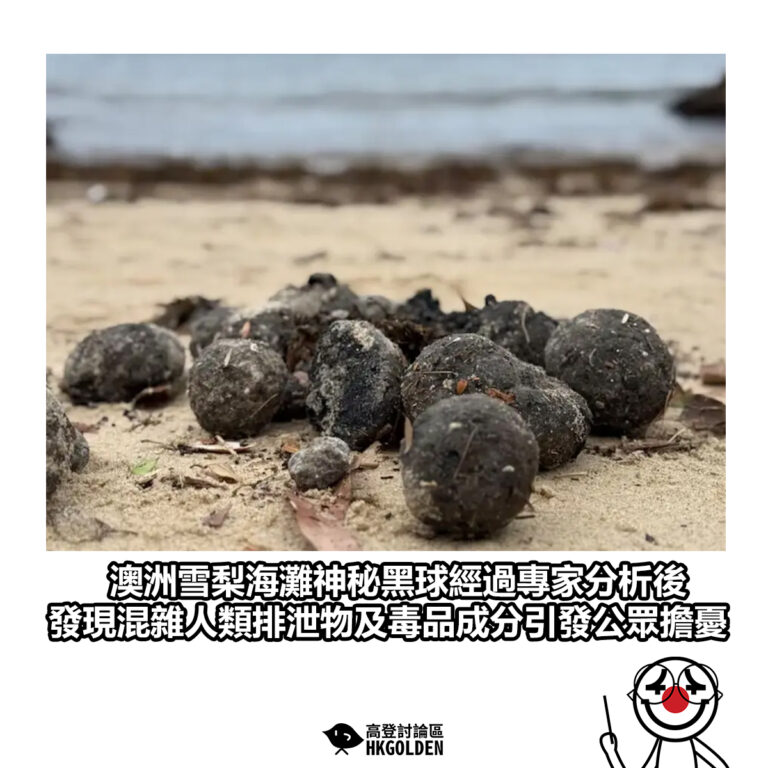 【澳洲雪梨海灘神秘黑球經過專家分析後 發現混雜人類排泄物及毒品成分引發公眾擔憂】