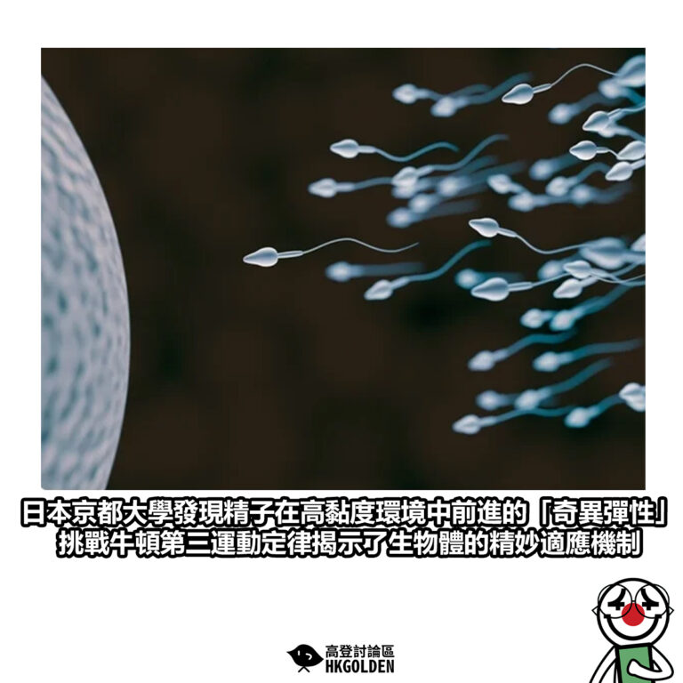 【日本京都大學發現精子在高黏度環境中前進的「奇異彈性」 挑戰牛頓第三運動定律揭示了生物體的精妙適應機制】