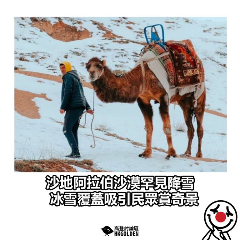【沙地阿拉伯沙漠罕見降雪 冰雪覆蓋吸引民眾賞奇景】