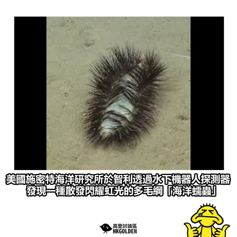【美國施密特海洋研究所於智利透過水下機器人探測器 發現一種散發閃耀虹光的多毛綱「海洋蠕蟲」】