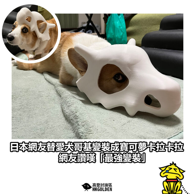 【日本網友替愛犬哥基變裝成寶可夢卡拉卡拉  網友讚嘆「最強變裝」】