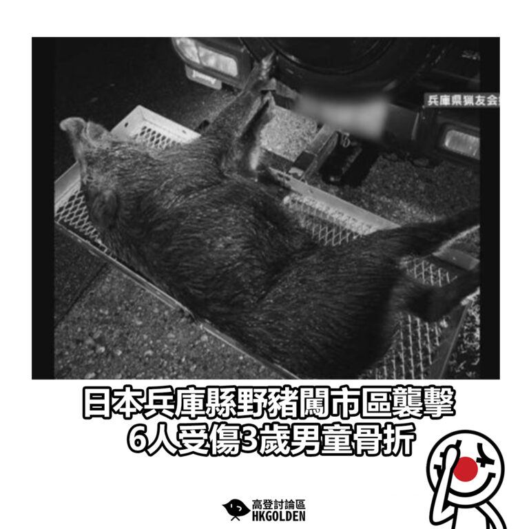 【日本兵庫縣野豬闖市區襲擊 6人受傷3歲男童骨折】