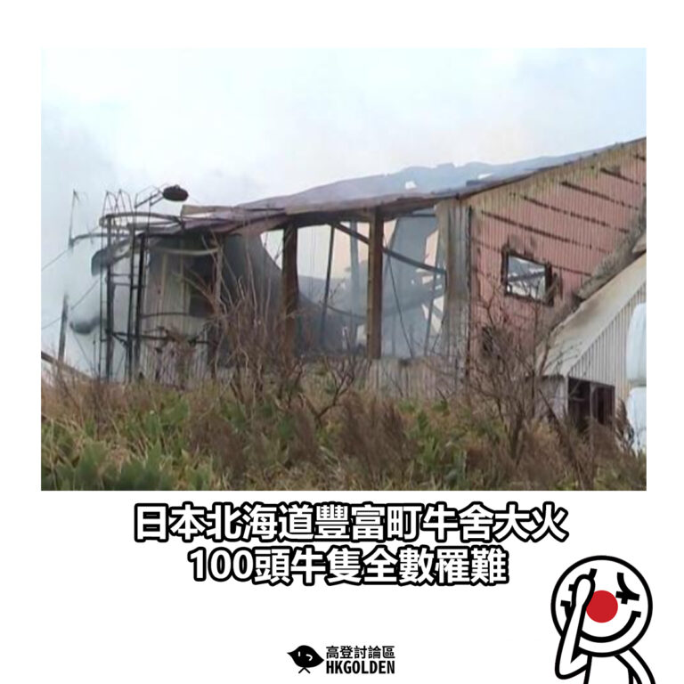 【日本北海道豐富町牛舍大火 100頭牛隻全數罹難】