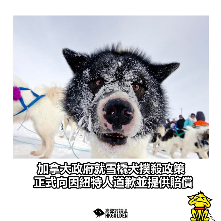 【加拿大政府就雪橇犬撲殺政策 正式向因紐特人道歉並提供賠償】