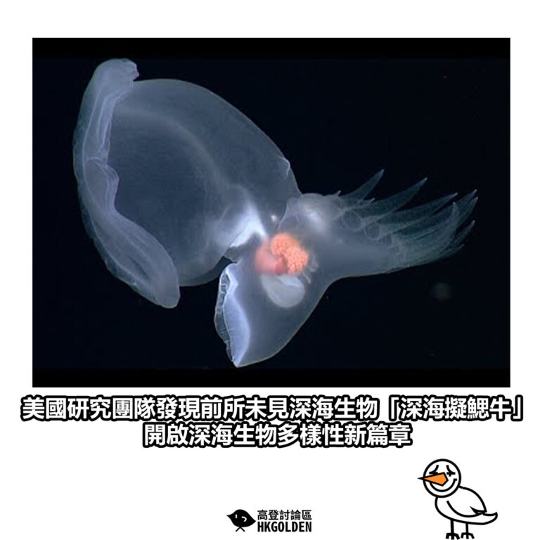 【美國研究團隊發現前所未見深海生物「深海擬鰓牛」　開啟深海生物多樣性新篇章】