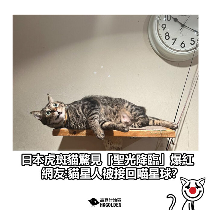 gsdgsdg