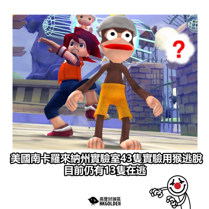 hsdasgsa