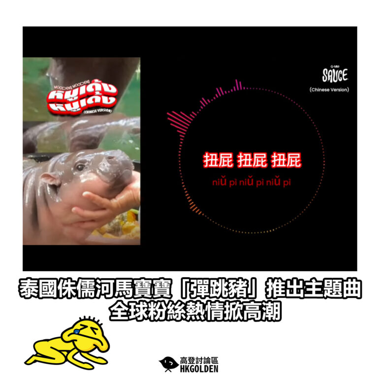 【泰國侏儒河馬寶寶「彈跳豬」推出主題曲 全球粉絲熱情掀高潮】