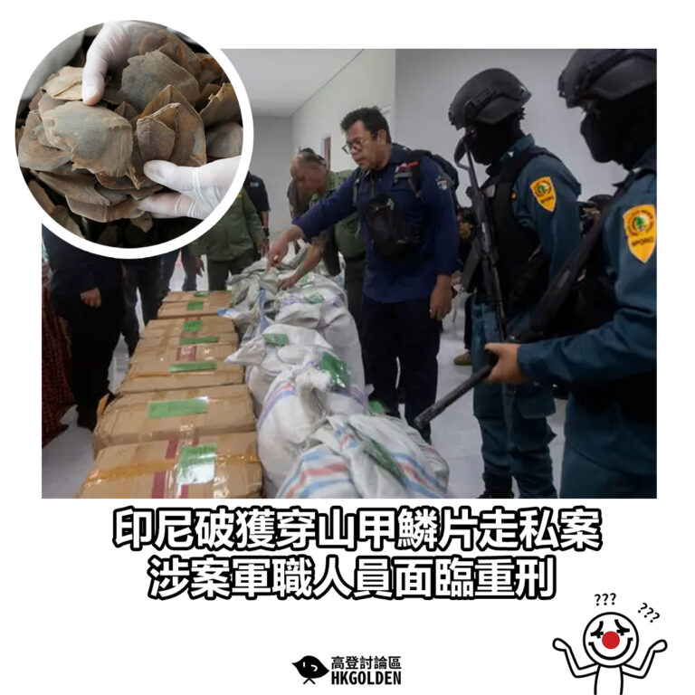 【 印尼破獲穿山甲鱗片走私案 涉案軍職人員面臨重刑】