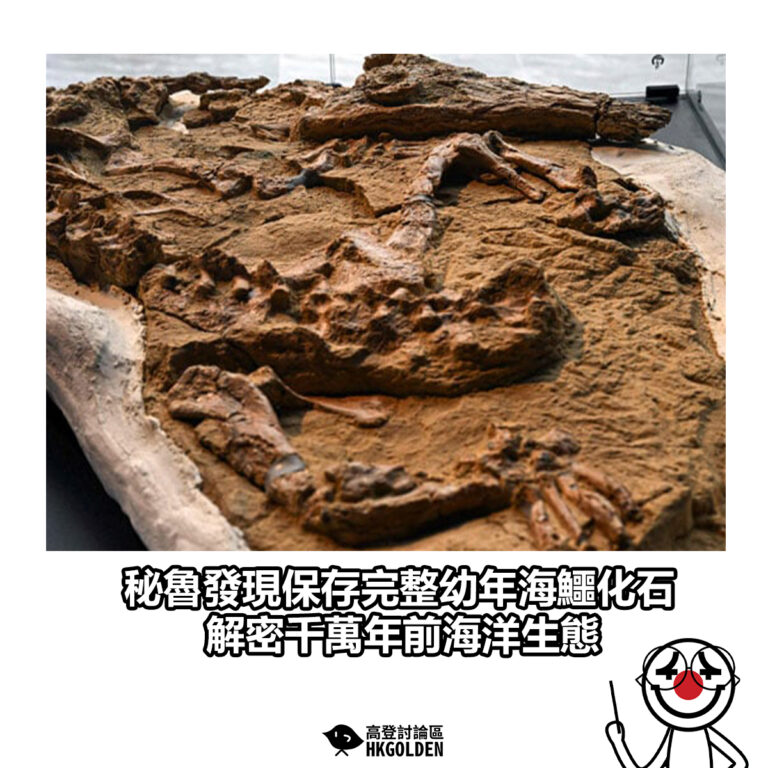 【秘魯發現保存完整幼年海鱷化石 解密千萬年前海洋生態】