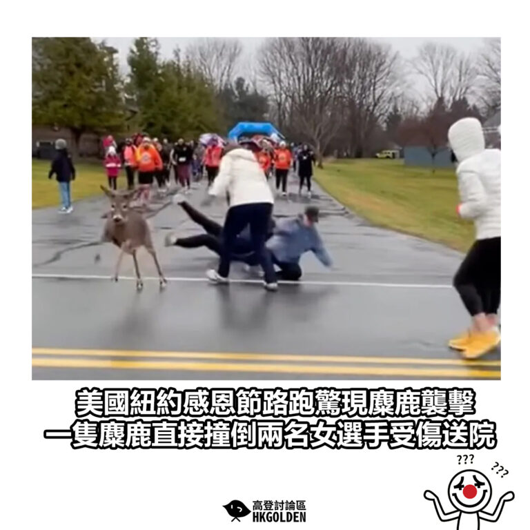 【美國紐約感恩節路跑驚現麋鹿襲擊 一隻麋鹿直接撞倒兩名女選手受傷送院】
