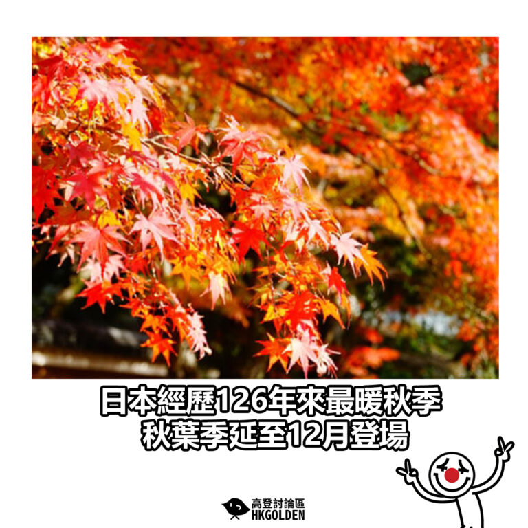 【日本經歷126年來最暖秋季 秋葉季延至12月登場】