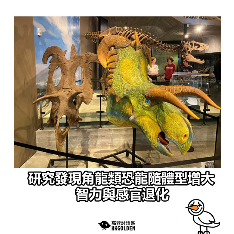 【研究發現角龍類恐龍隨體型增大 智力與感官退化】