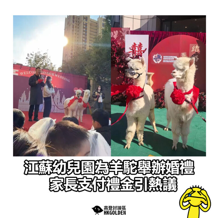【江蘇幼兒園為羊駝舉辦婚禮 家長支付禮金引熱議】