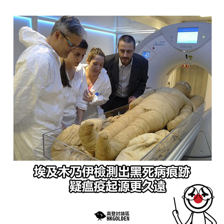 【埃及木乃伊檢測出黑死病痕跡 疑瘟疫起源更久遠】
