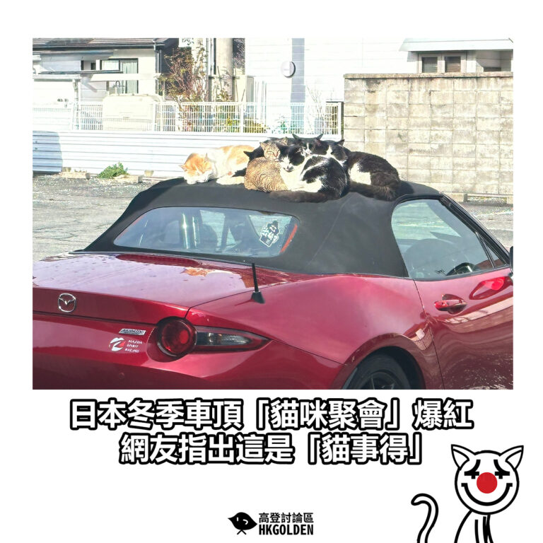 【日本冬季車頂「貓咪聚會」爆紅 網友指出這是「貓事得」】
