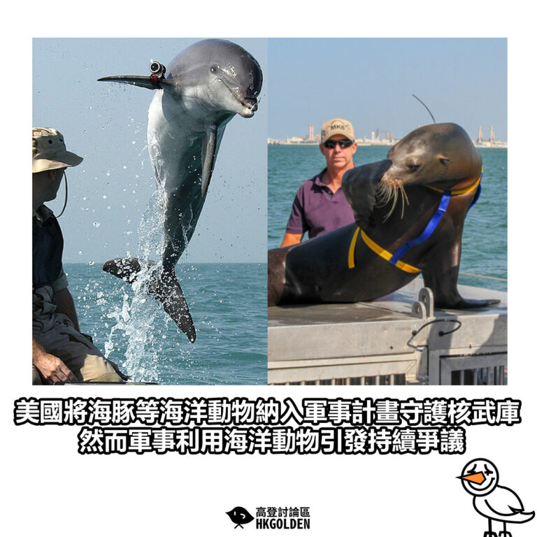 【美國將海豚等海洋動物納入軍事計畫守護核武庫 然而軍事利用海洋動物引發持續爭議】