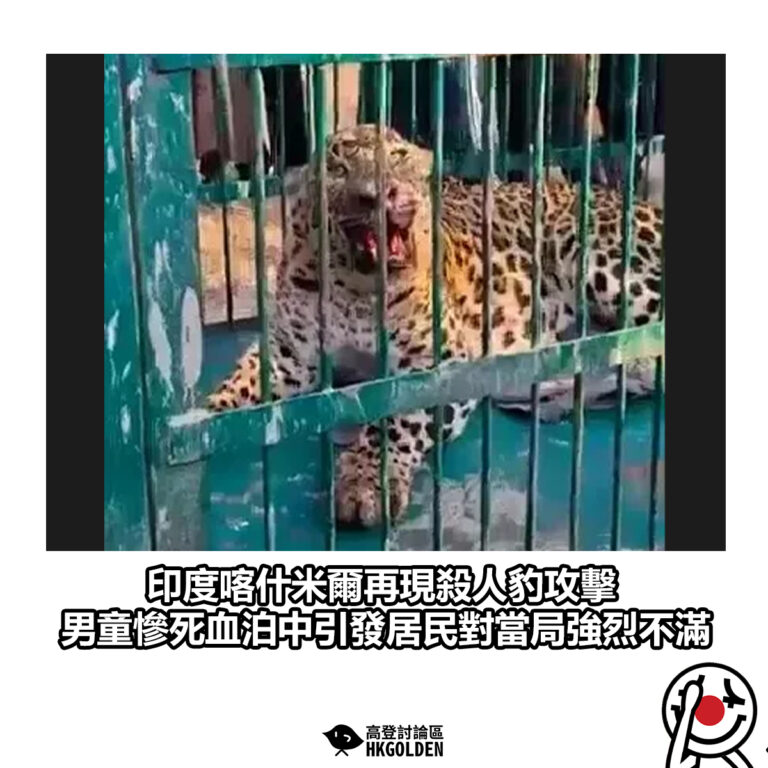 【印度喀什米爾再現殺人豹攻擊 男童慘死血泊中引發居民對當局強烈不滿】