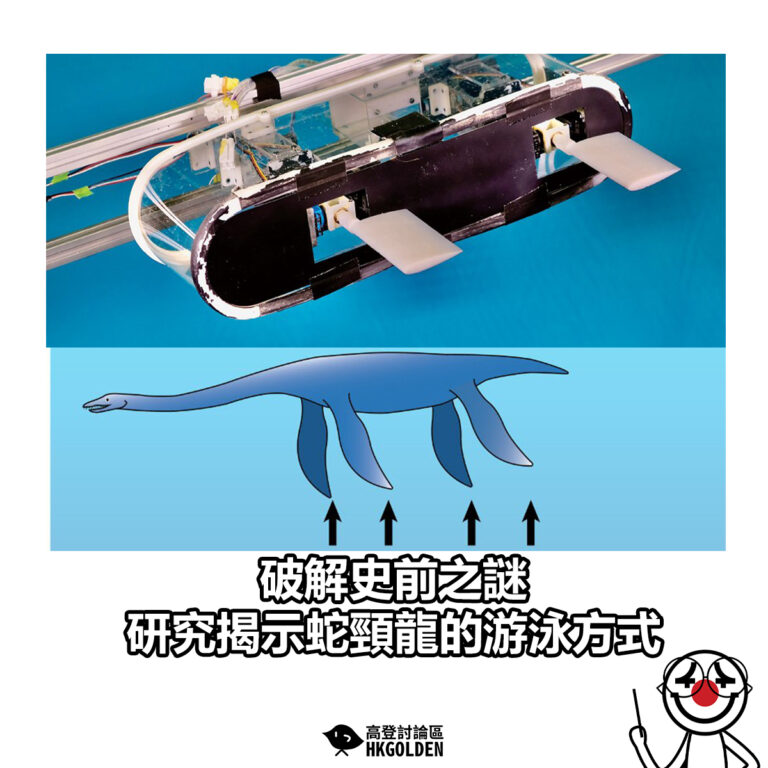 【破解史前之謎  研究揭示蛇頸龍的游泳方式】