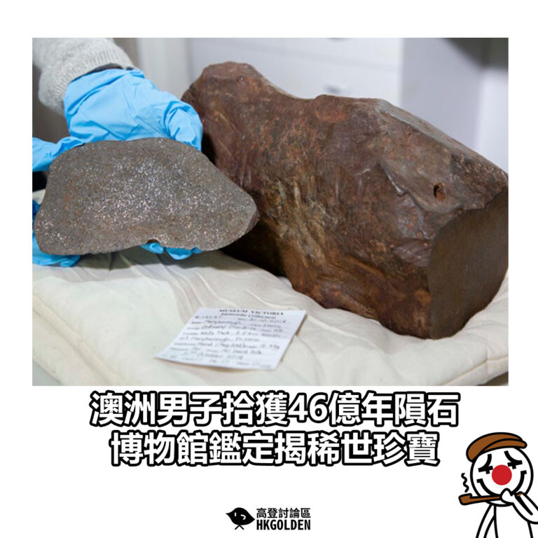 【 澳洲男子拾獲46億年隕石 博物館鑑定揭稀世珍寶】