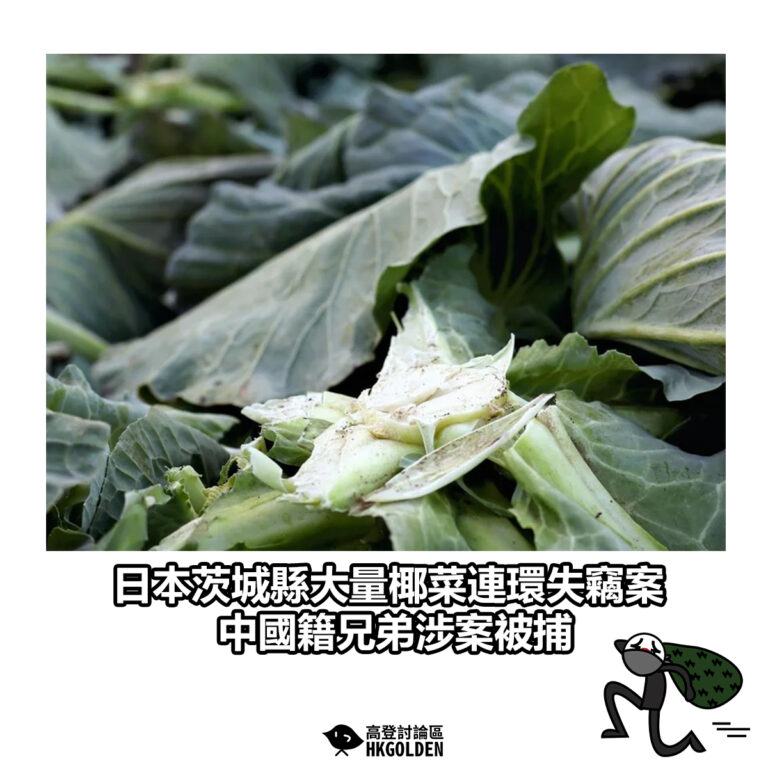 【日本茨城縣大量椰菜連環失竊案　中國籍兄弟涉案被捕】