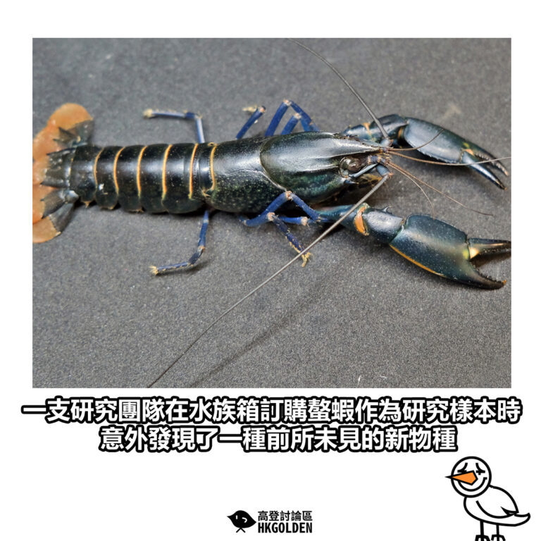 【一支研究團隊在水族箱訂購螯蝦作為研究樣本時 意外發現了一種前所未見的新物種】