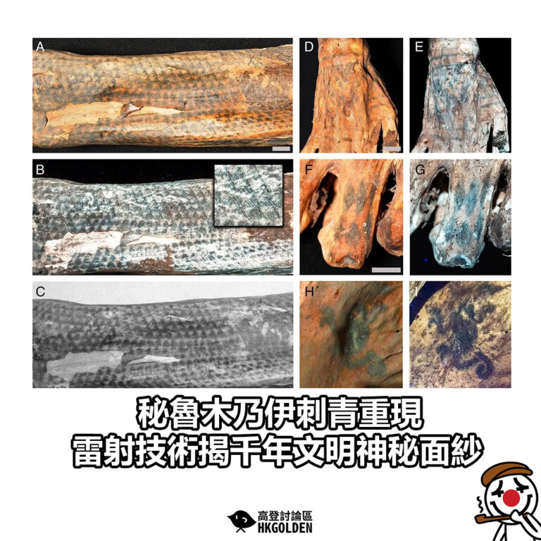 【秘魯木乃伊刺青重現 雷射技術揭千年文明神秘面紗】