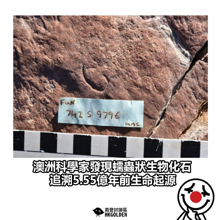 【澳洲科學家發現蠕蟲狀生物化石 追溯5.55億年前生命起源】