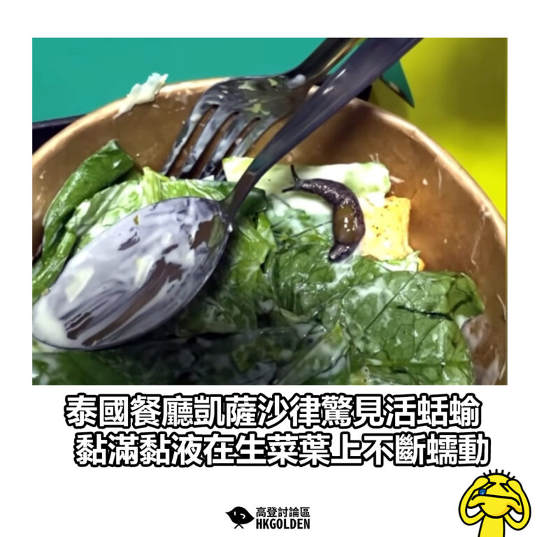 【泰國餐廳凱薩沙律驚見活蛞蝓 黏滿黏液在生菜葉上不斷蠕動】